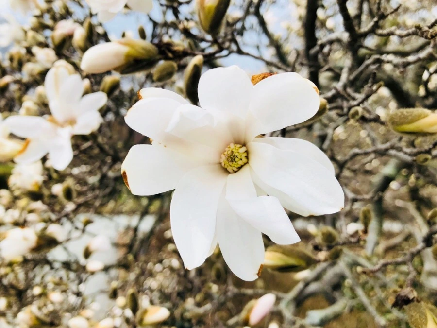 IMG_3832.jpg?type=w966