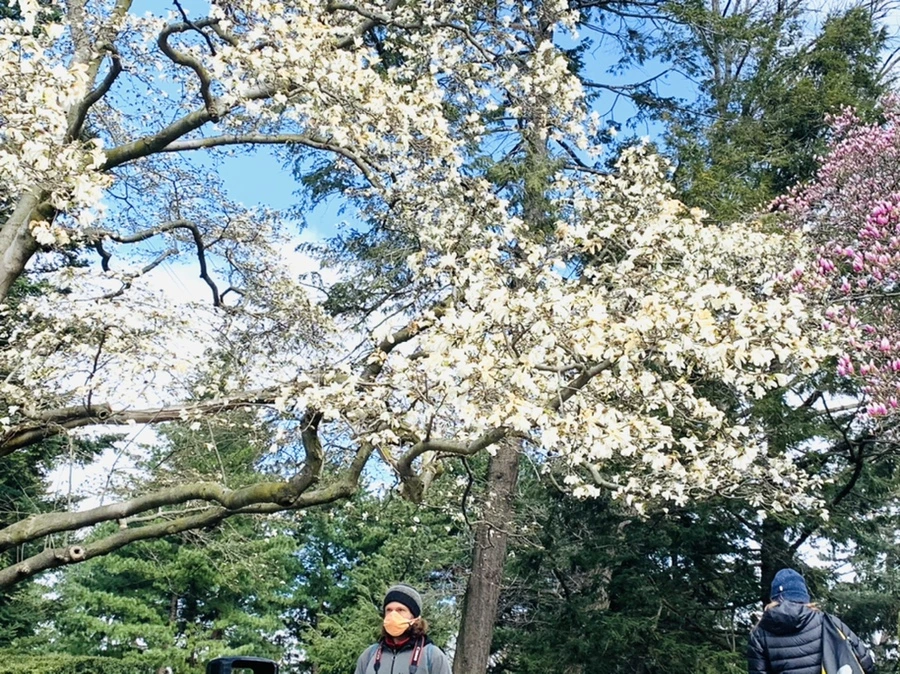 IMG_6485.jpg?type=w966