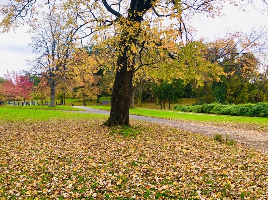 IMG_2881.jpg?type=w966