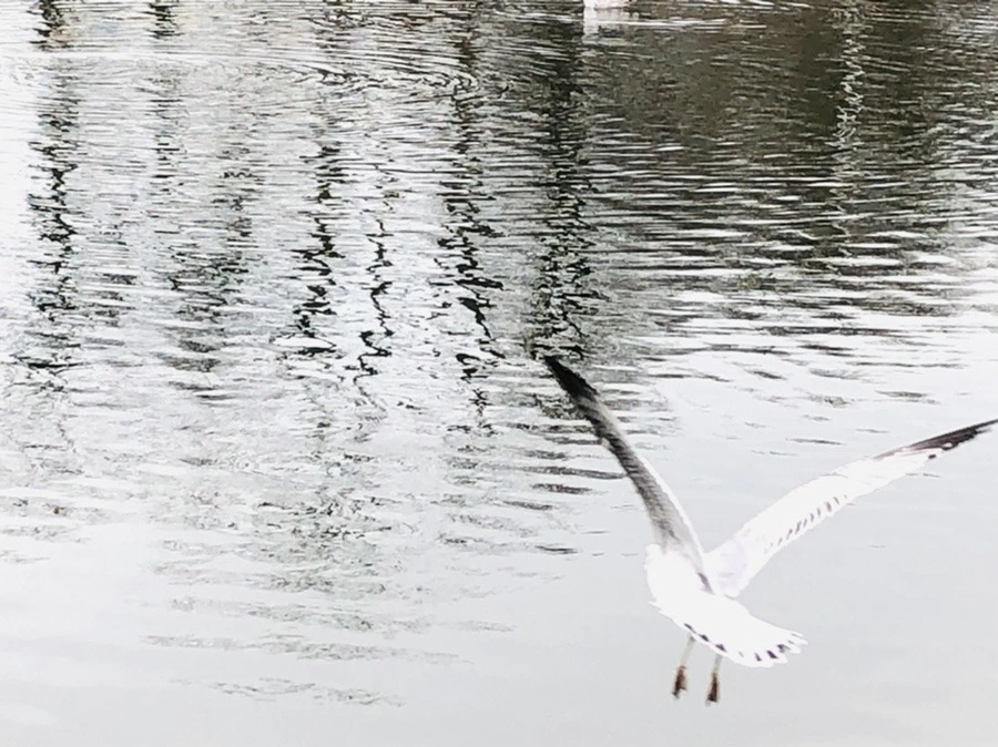 nzFxFgoikzdMlAFMAQ4NUII2NMI