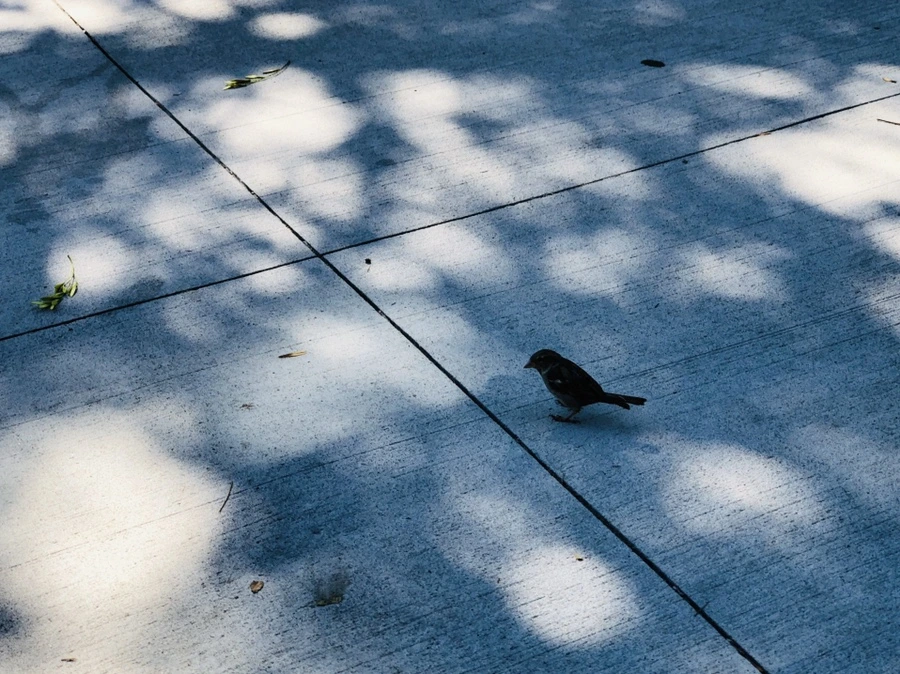 IMG_3485.jpg?type=w966