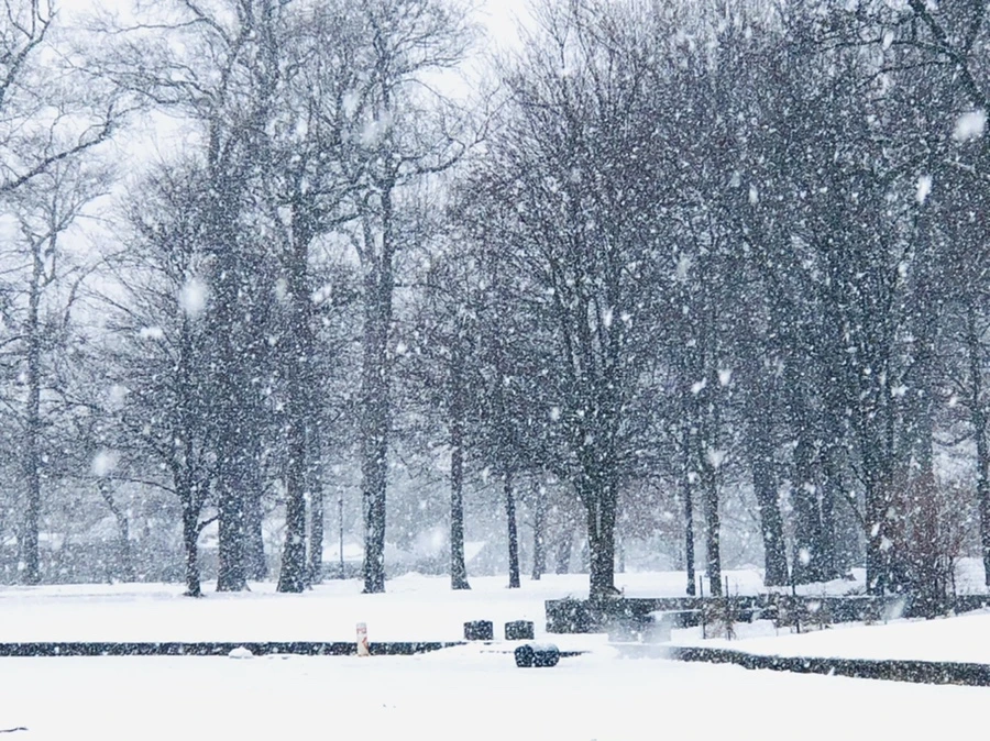 IMG_4053.jpg?type=w966