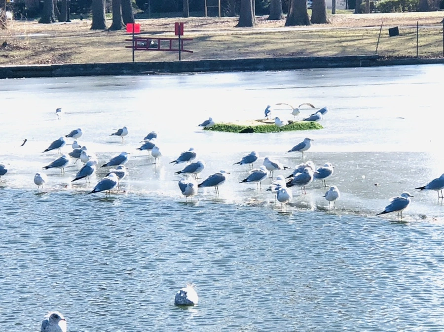 IMG_6838.jpg?type=w966