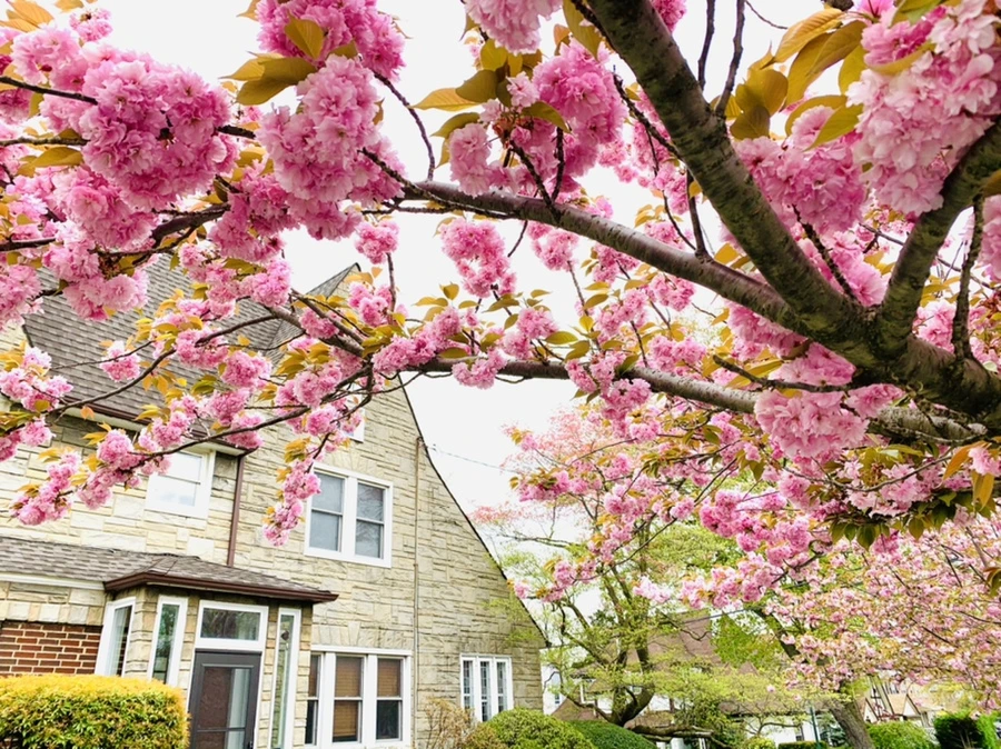 IMG_6087.jpg?type=w966