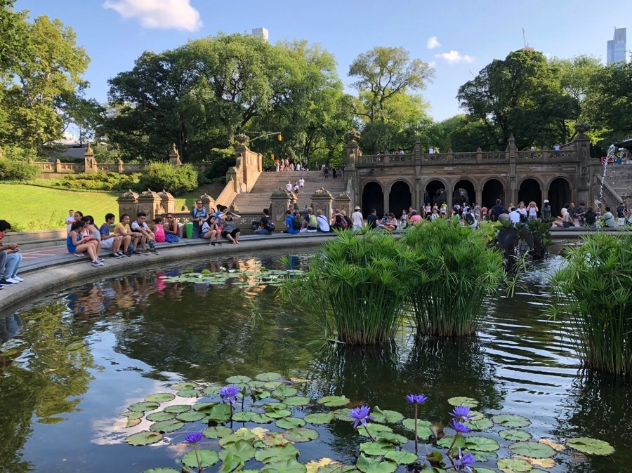 IMG_1080.jpg?type=w966