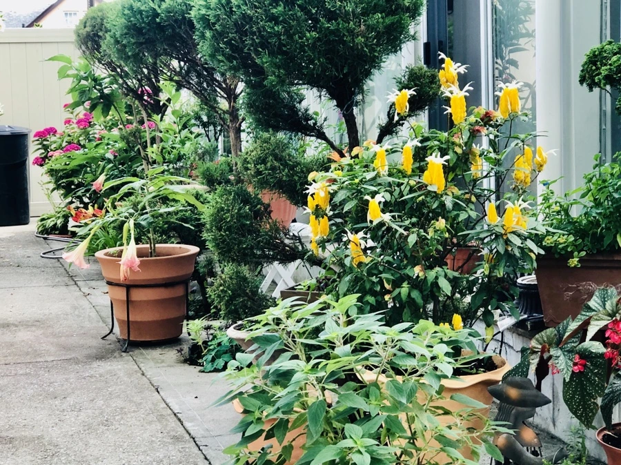 IMG_0982.jpg?type=w966