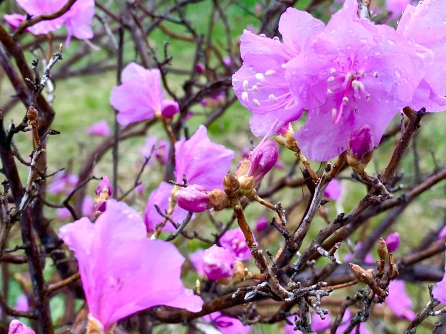 IMG_4859.jpg?type=w966