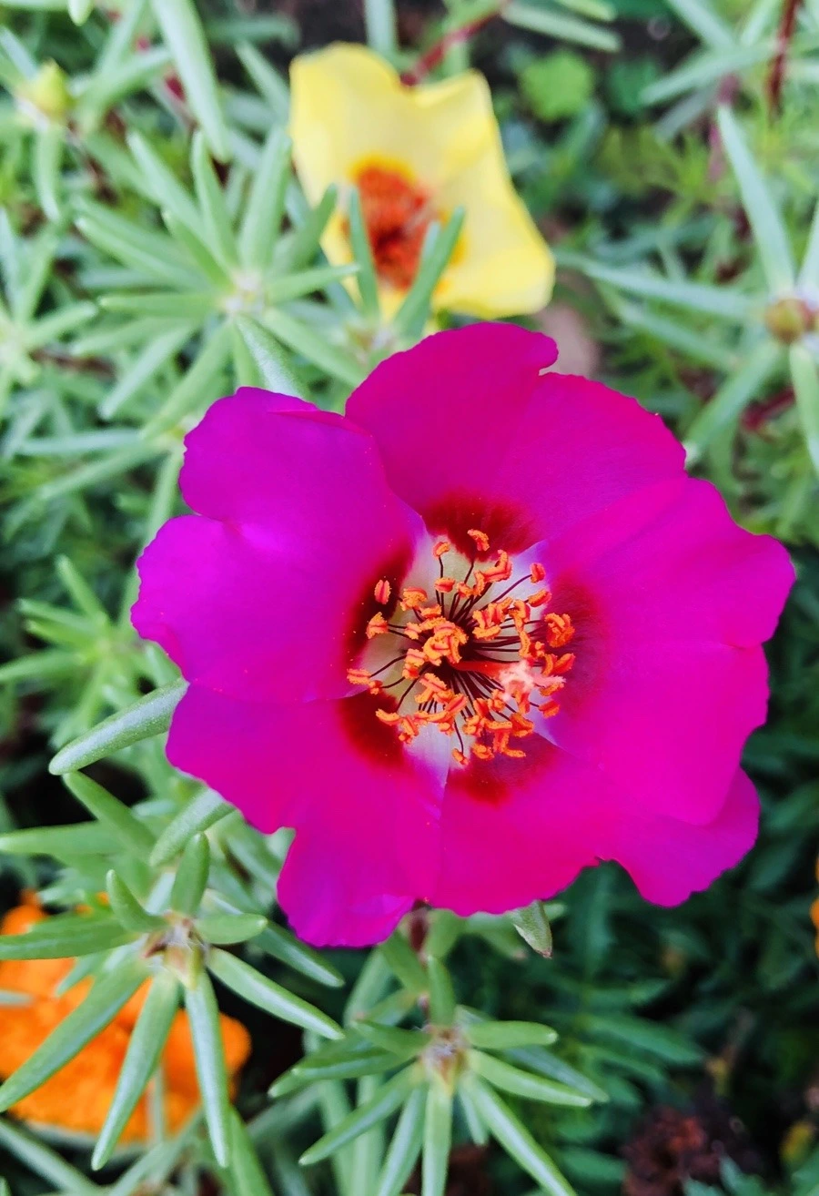 Ql8qSdTvrZBS5ktRf9-Powzj_kE