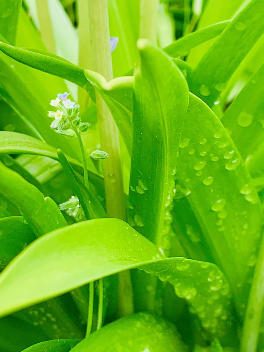 IMG_9583.jpg?type=w966