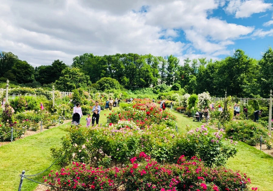 IMG_7902.jpg?type=w966