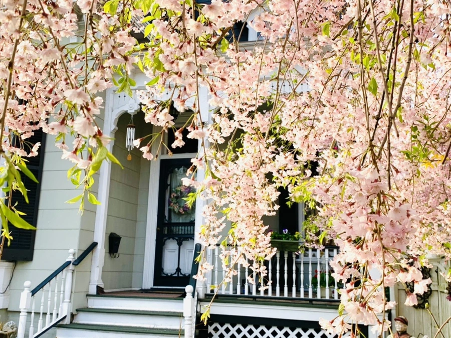 IMG_3729.jpg?type=w966