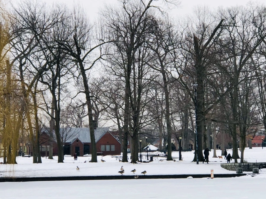 IMG_4435.jpg?type=w966