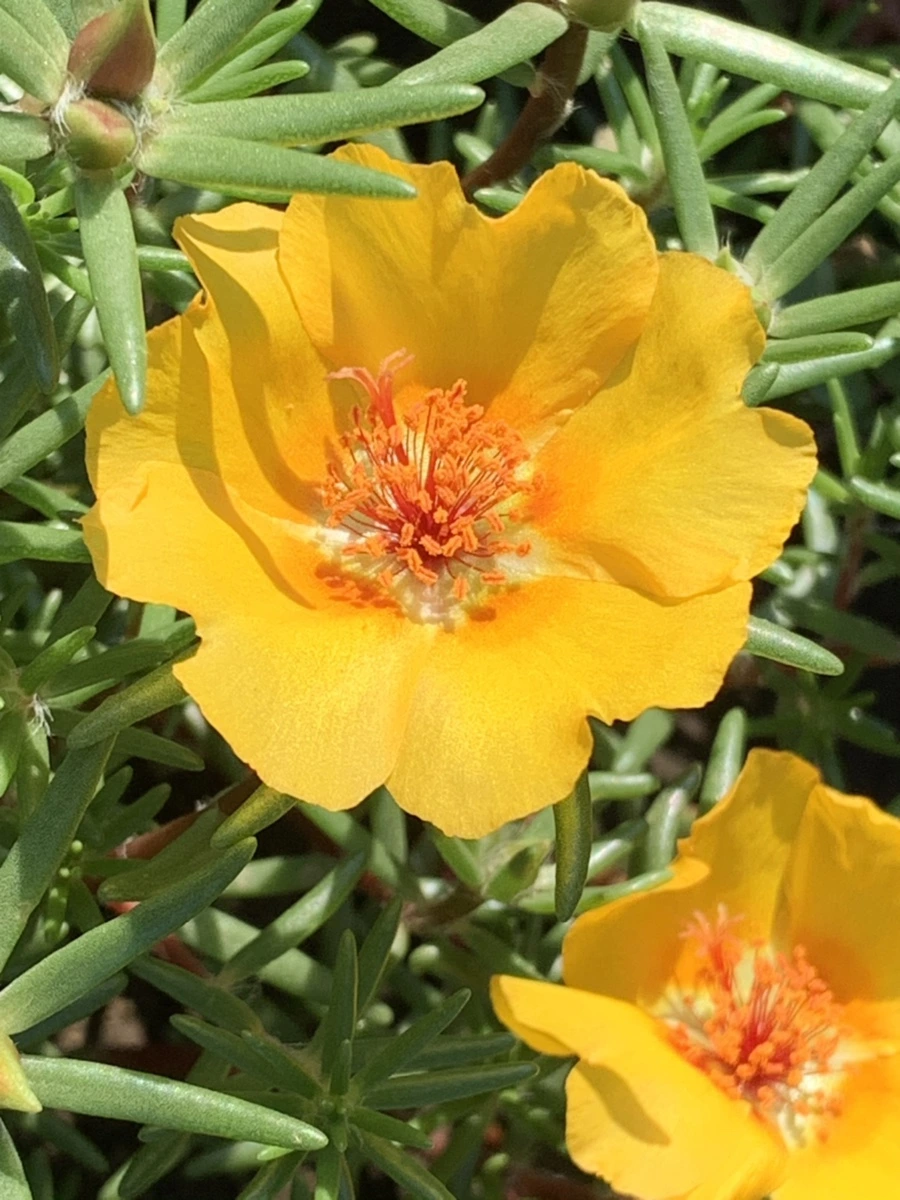 IMG_8378.jpg?type=w966