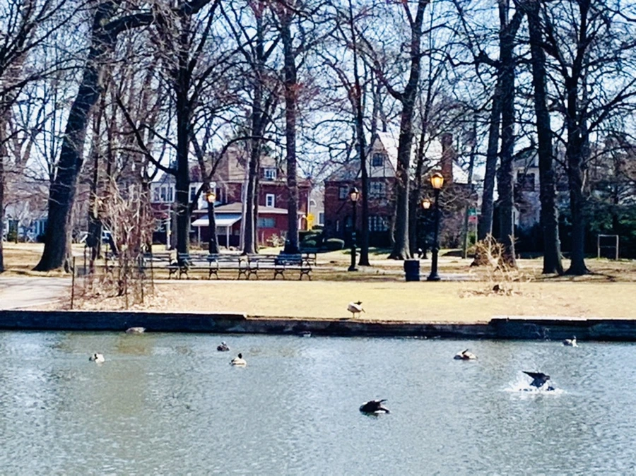 IMG_3124.jpg?type=w966