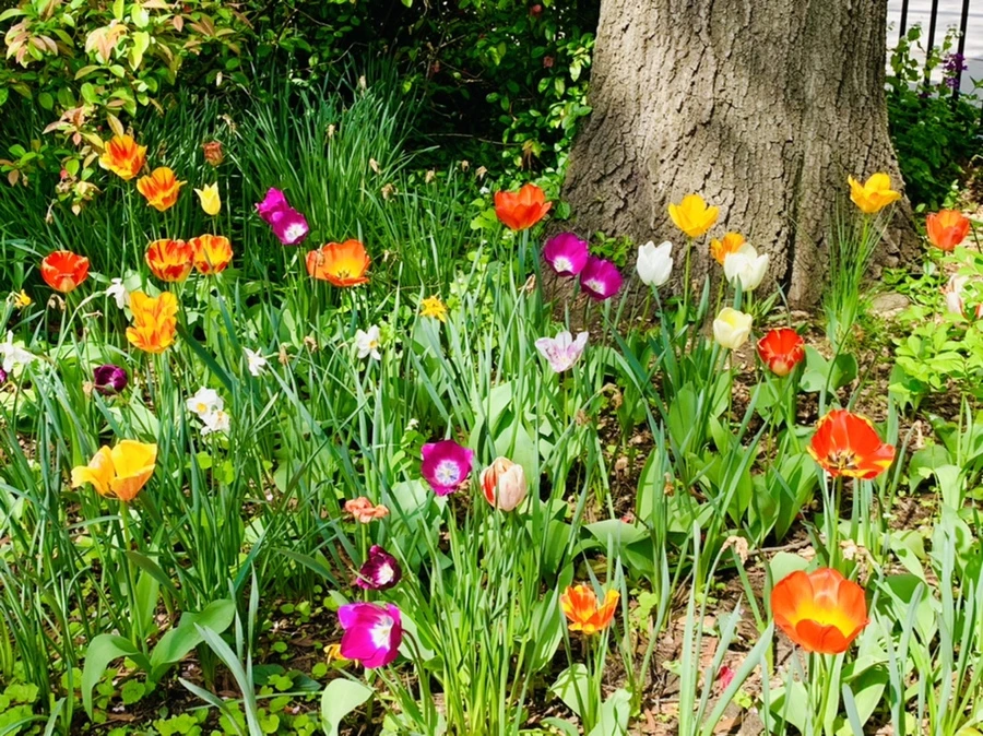 IMG_6866.jpg?type=w966