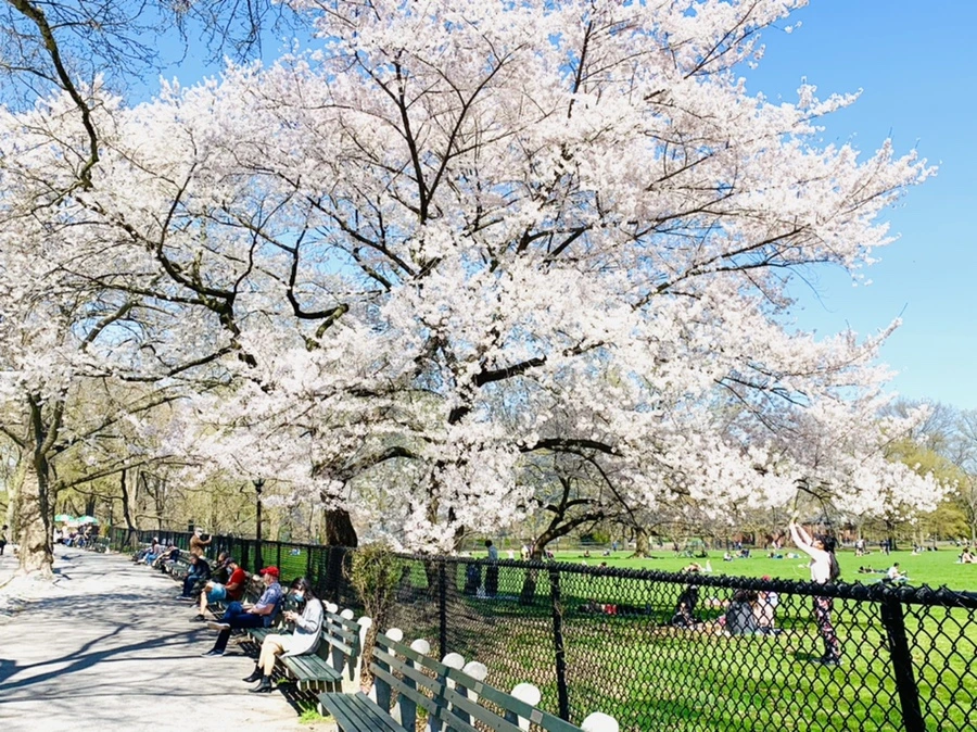 IMG_8918.jpg?type=w966