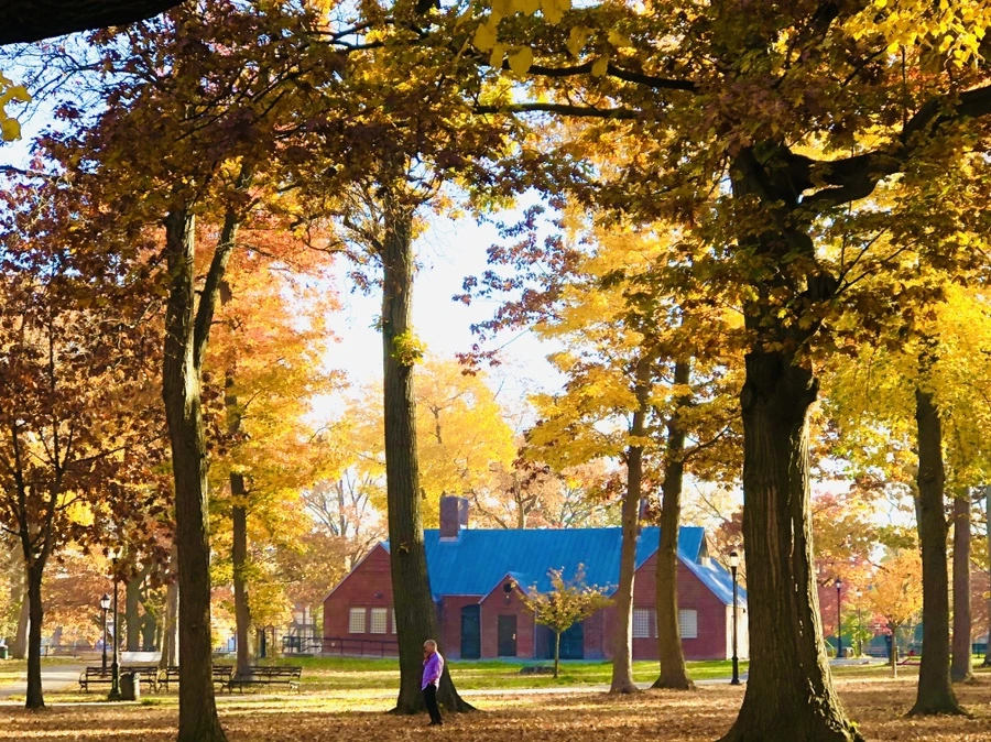 IMG_4085.jpg?type=w966