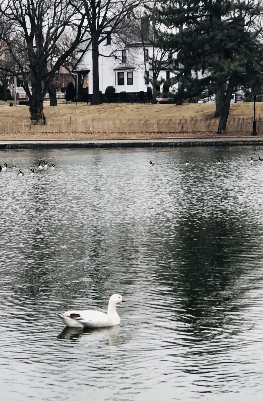 IMG_9520.jpg?type=w966