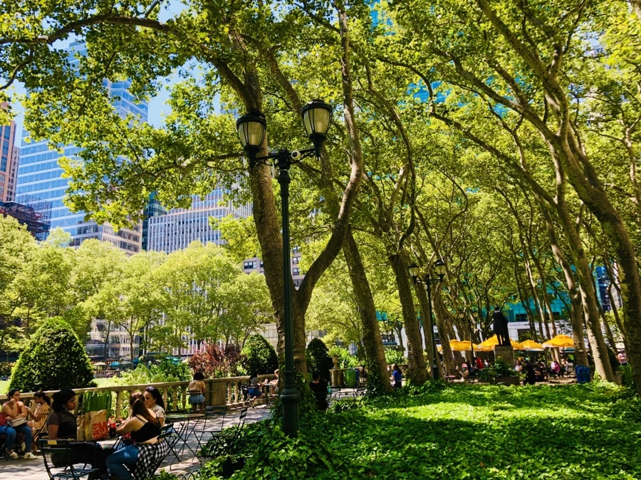 IMG_5418.jpg?type=w966