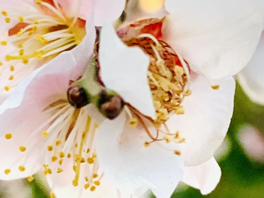 IMG_2879.jpg?type=w966