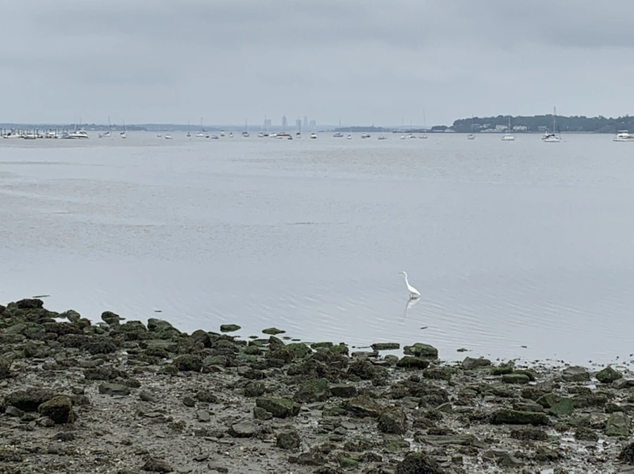 IMG_3700.jpg?type=w966