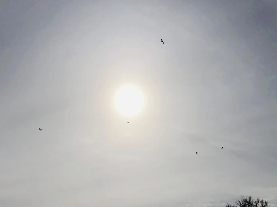 IMG_1684.jpg?type=w966