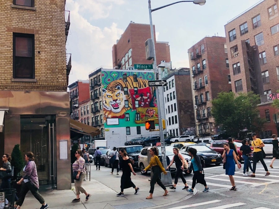 IMG_1509.jpg?type=w966