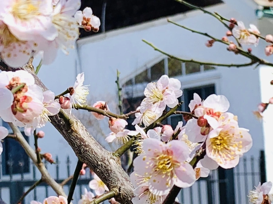 IMG_1005.jpg?type=w966