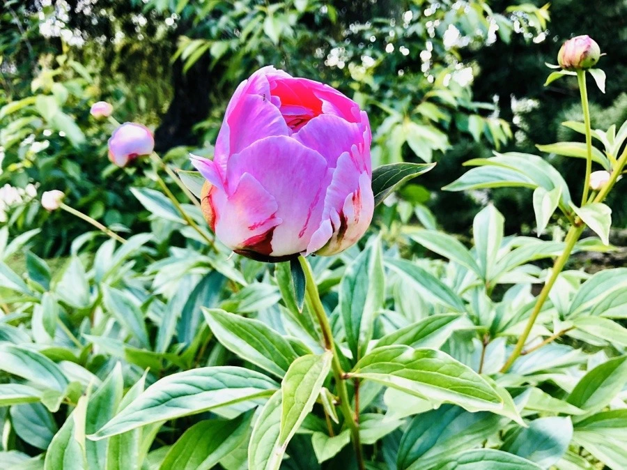 Me9BG7LyjFhHYEBlth9IC5nkyTU