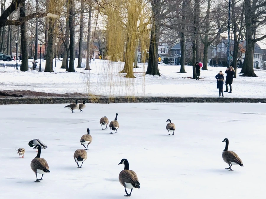 IMG_2935.jpg?type=w966