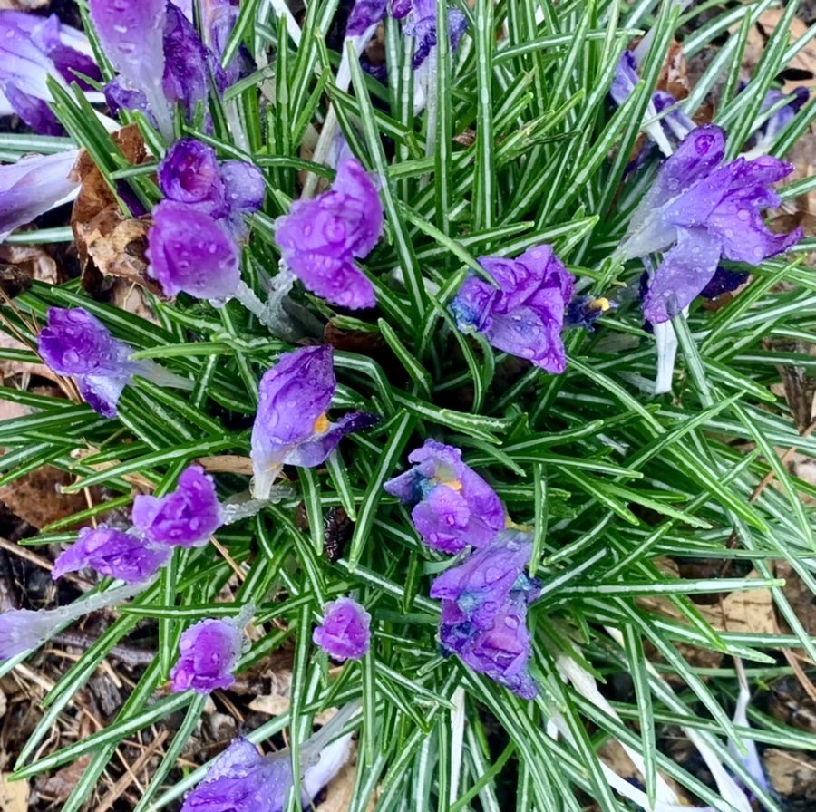 IMG_2155.jpg?type=w966