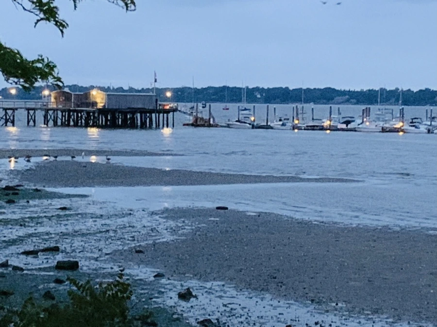 IMG_6689.jpg?type=w966