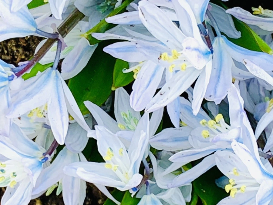 IMG_4125.jpg?type=w966