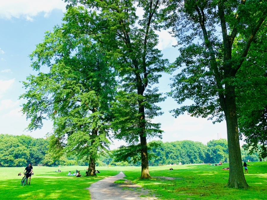 IMG_1681.jpg?type=w966