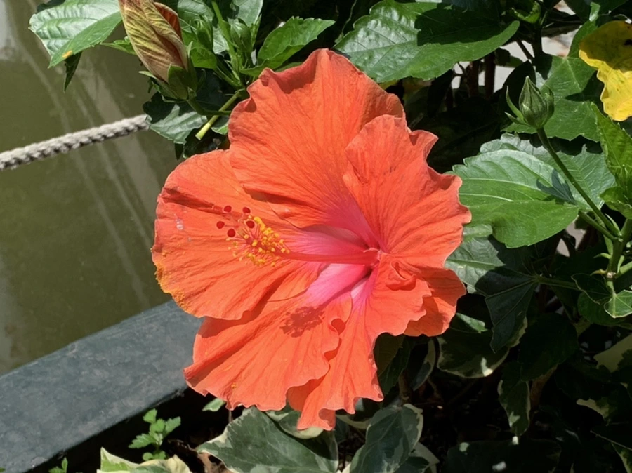 IMG_8601.jpg?type=w966