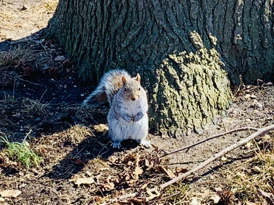 IMG_6941.jpg?type=w966