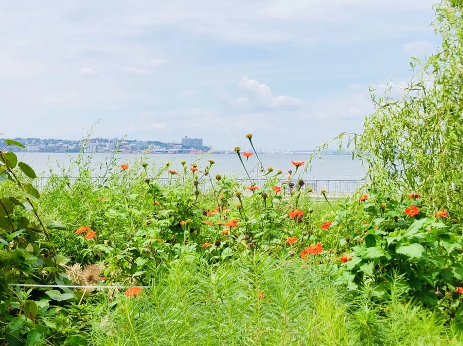 IMG_7896.jpg?type=w966