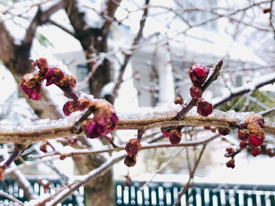 IMG_3611.jpg?type=w966