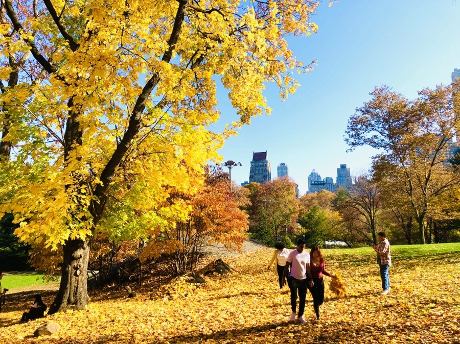 IMG_4238.jpg?type=w966