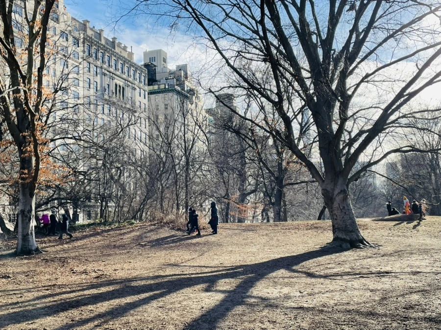 IMG_0451.jpg?type=w966