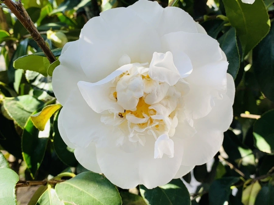 p-LGWTXmM2UnU9eAe1tsdqgbntA