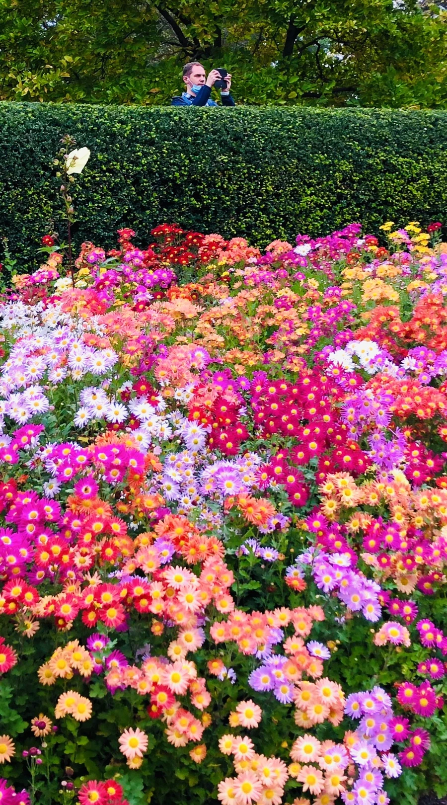 IMG_2729.jpg?type=w966