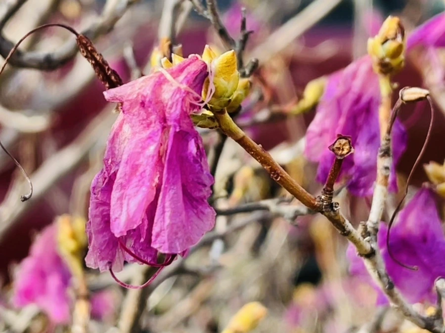 IMG_7879.jpg?type=w966