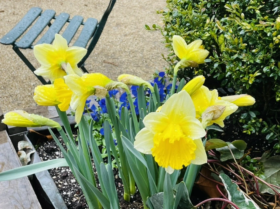 IMG_8683.jpg?type=w966