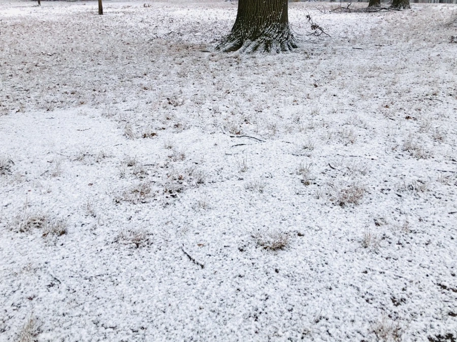 IMG_4470.jpg?type=w966