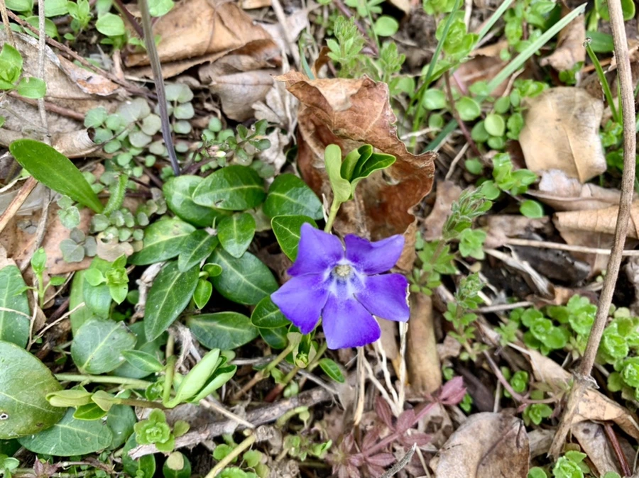 IMG_3463.jpg?type=w966