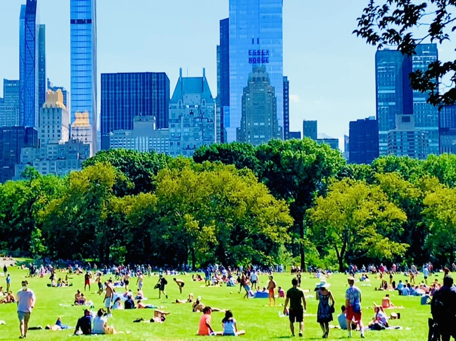 IMG_4424.jpg?type=w966