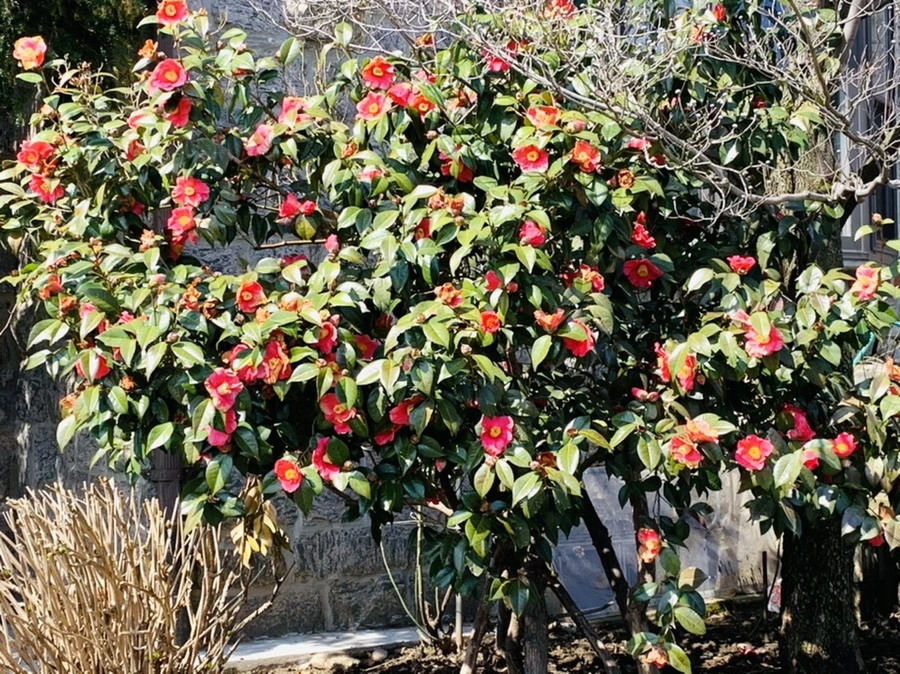 IMG_4334.jpg?type=w966