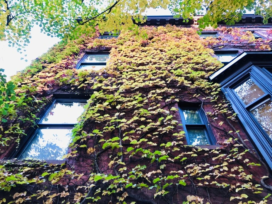 IMG_4173.jpg?type=w966