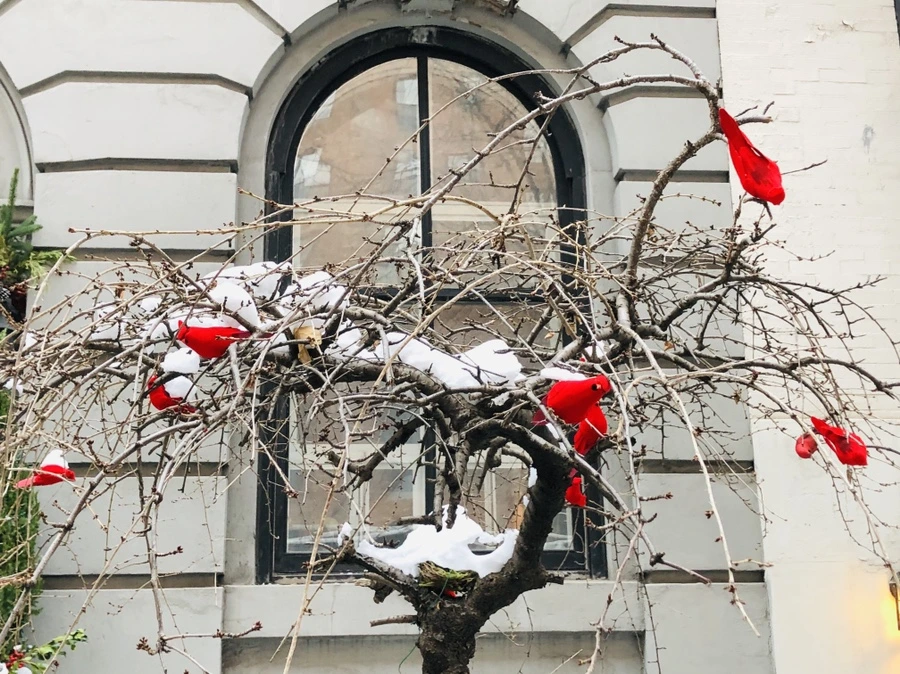 IMG_7517.jpg?type=w966